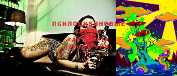трава Зеленокумск