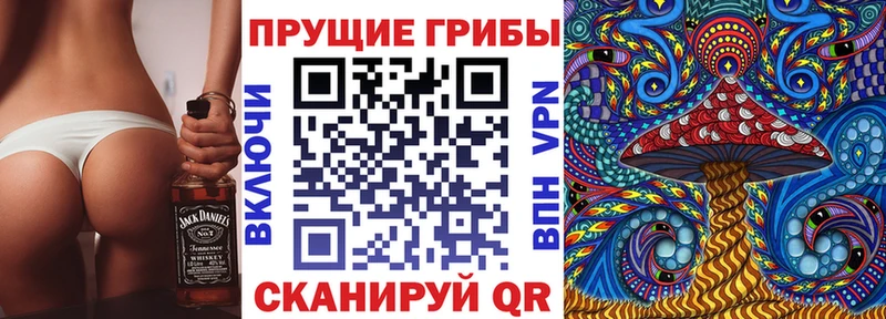 Купить где  Рославль  Галлюциногенные грибы GOLDEN TEACHER 